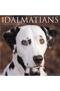 Just Dalmatians 2019 Wall Calendar (Dog Breed Calendar)