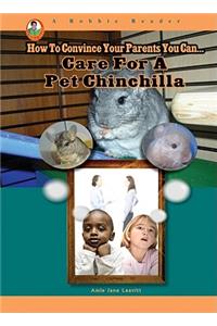 Care for a Pet Chinchilla