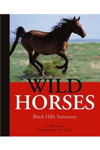 Wild Horses: Black Hills Sanctuary