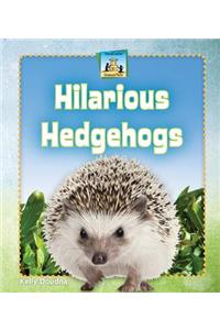Hilarious Hedgehogs