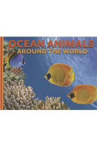 Ocean Animals Around the World