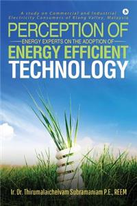 Perception of Energy Experts on the Adoption of Energy Efficient Technology