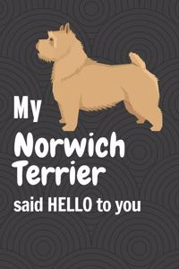 My Norwich Terrier said HELLO to you