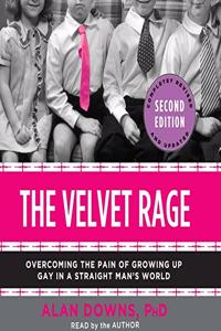 Velvet Rage Lib/E