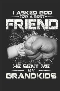 I asked god for a best friend he sent me my grandkids