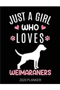 Just A Girl Who Loves Weimaraners 2020 Planner