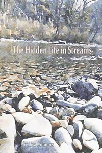 Hidden Life in Streams