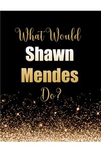What Would Shawn Mendes Do?