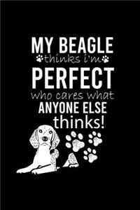 My Beagle Thinks I'm Perfect Who Cares What Anyone Else Thinks