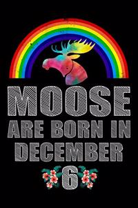 Moose Are Born In December 6