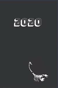 2020 Scorpio