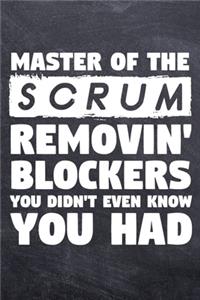 Master of the Scrum