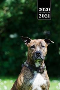 Staffordshire Bull Terrier Dog Calendar Week Planner 2020 / 2021 - In the Green