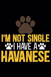 I'm Not Single I Have a Havanese
