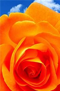 Rose Notebook