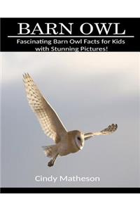 Barn Owl