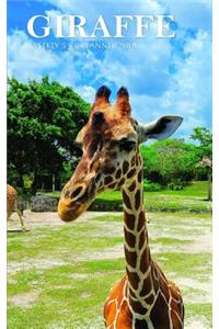 Giraffe Weekly 5 X 8 Planner 2019