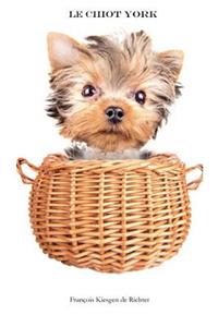 Chiot York