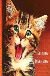 Gatinhos Engracados