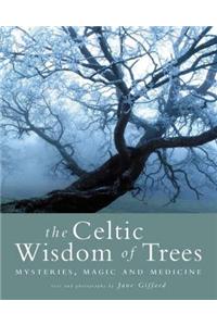 The Celtic Wisdom of Trees