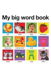 My Big Word Book