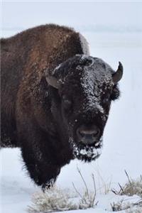 Buffalo in the Snow Winter Journal