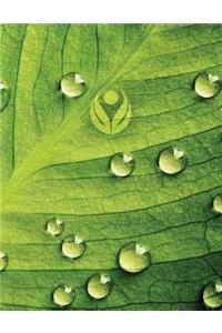 Dew Drop Leaf 2 Grid Sketchbook