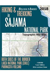 Hiking & Trekking in Sajama National Park Bolivia Andes Topographic Map Atlas Both Sides of the Border Lauca National Park (Chile) Parinacota Volcano 1