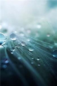 Water Notebook