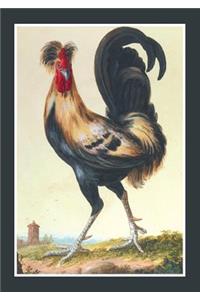 Carnet Ligné, Coq