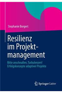 Resilienz Im Projektmanagement