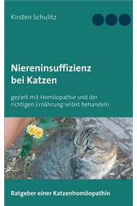 Niereninsuffizienz bei Katzen