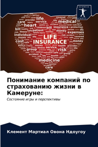 Понимание компаний по страхованию жизни в