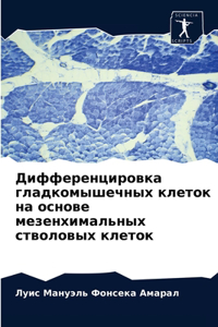 Дифференцировка гладкомышечных клеток н&