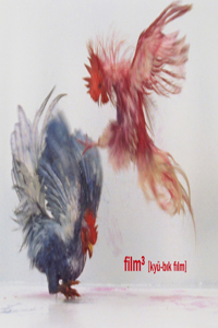 FILM3 ['kju:BIk FIlm]