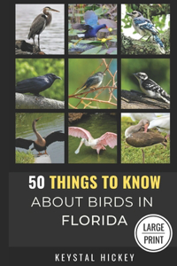 50 Things to Know About Birds in Florida
