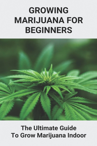 Growing Marijuana For Beginners