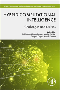 Hybrid Computational Intelligence