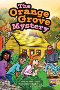 PM RUBY THE ORANGE GROVE MYSTERY PM GUID