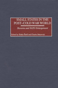 Small States in the Post-Cold War World