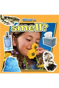 What Is Smell?