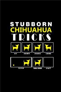 Stubborn Chihuahua Tricks