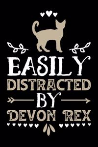 Easily Distracted By Devon Rex