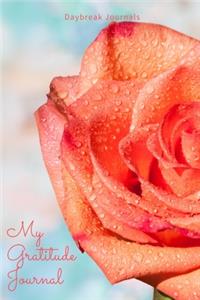 My Gratitude Journal