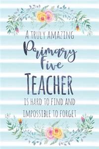 A Truly Amazing Primary Five Teacher Is Hard To Find And Impossible To Forget
