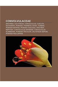 Convolvulaceae: Argyreia, Calystegia, Convolvulus, Cuscuta, Dichondra, Ipomoea, Pharbitis, Rivea, Turbina, Ipomoea Batatas, Ipomoea Vi