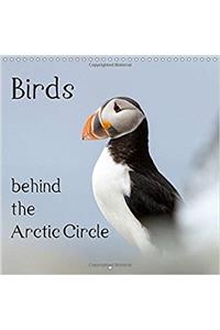 Birds Behind the Arctic Circle 2018