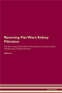 Reversing Flat Wart: Kidney Filtration The Raw Vegan Plant-Based Detoxification & Regeneration Workbook for Healing Patients. Volume 5