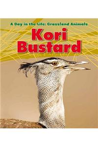 Kori Bustard