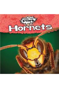 Hornets